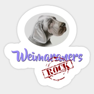 Weimaraners Rock! Sticker